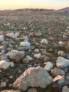 rocks-on-edge-of-desert
